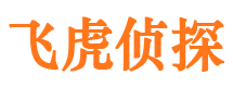 内黄市调查公司